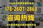 使用小鸭滚筒式洗衣机的注意事项及使用技巧（掌握正确的操作方法）