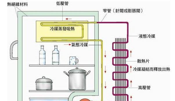 冰箱结冰速度提升的关键方法（掌握以下技巧）  第3张